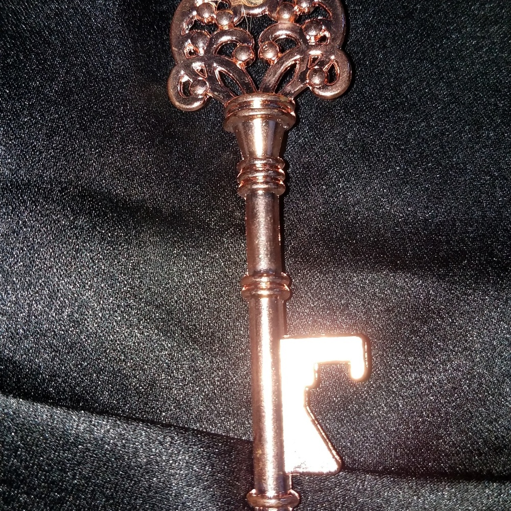 Nwot! Multi-Functional Key Keepsake! - image 3